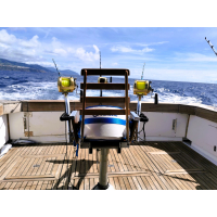 Blue Marlin Tagestour auf den Azoren